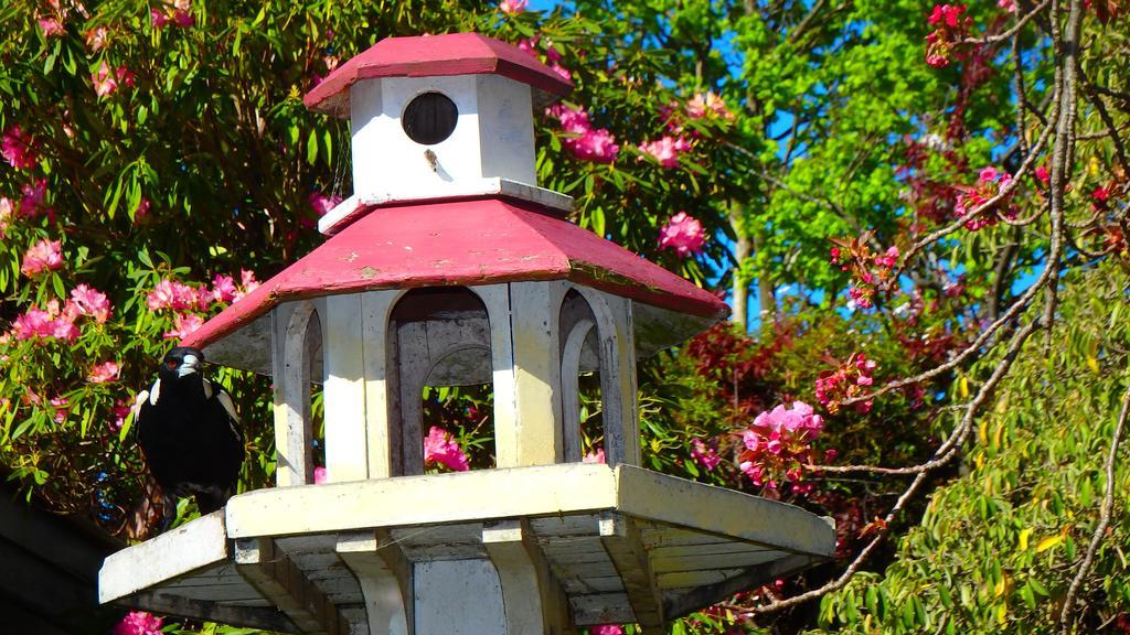 โบว์รัล โร้ด เบดแอนด์เบรคฟาสต์ Bed & Breakfast มิตตากอง ภายนอก รูปภาพ