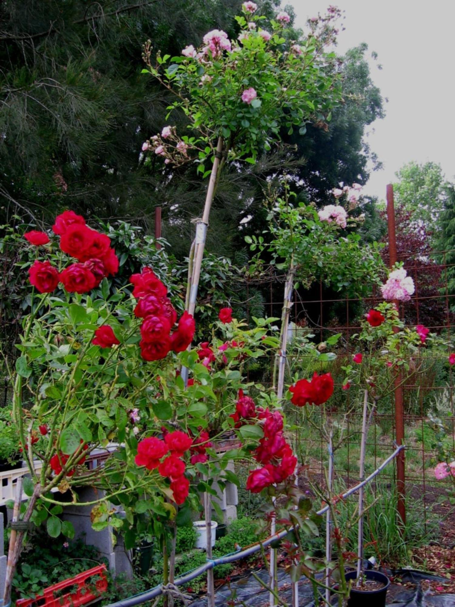 โบว์รัล โร้ด เบดแอนด์เบรคฟาสต์ Bed & Breakfast มิตตากอง ภายนอก รูปภาพ