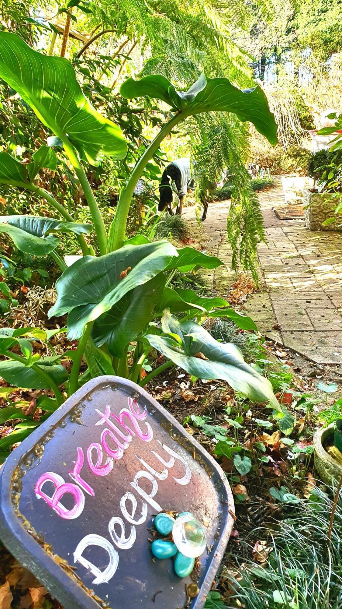 โบว์รัล โร้ด เบดแอนด์เบรคฟาสต์ Bed & Breakfast มิตตากอง ภายนอก รูปภาพ