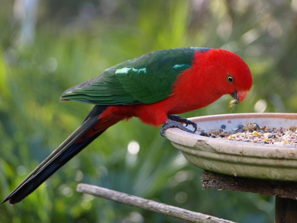 โบว์รัล โร้ด เบดแอนด์เบรคฟาสต์ Bed & Breakfast มิตตากอง ภายนอก รูปภาพ