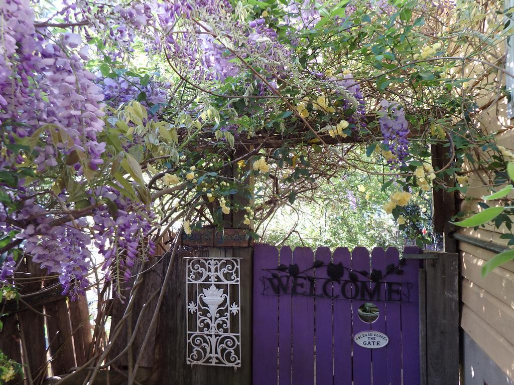 โบว์รัล โร้ด เบดแอนด์เบรคฟาสต์ Bed & Breakfast มิตตากอง ภายนอก รูปภาพ